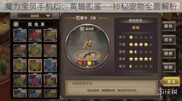 魔力宝贝手机版：黄蝎图鉴——神秘宠物全面解析